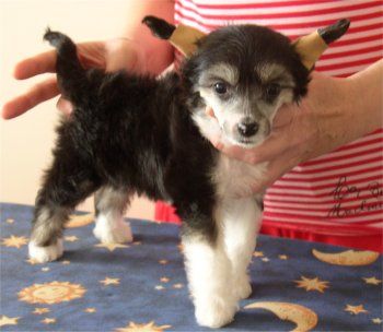 Fermata Hot chocolate