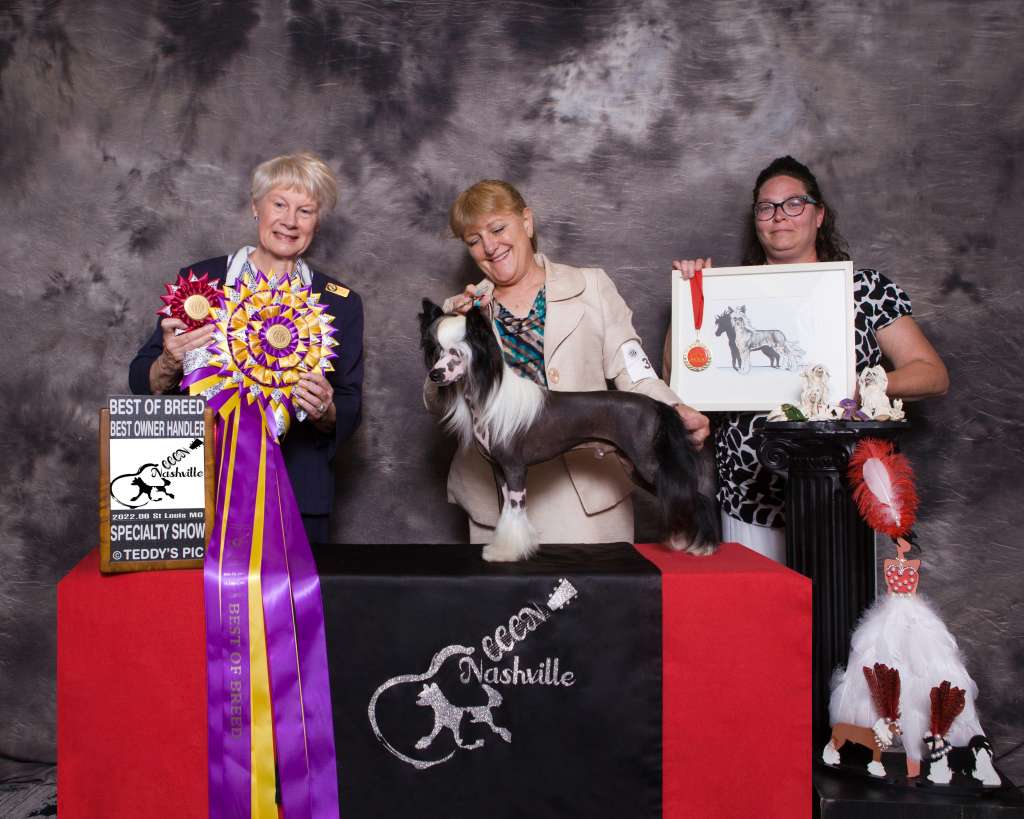 GCHS Silvercreeks Lucky Charms, ATT