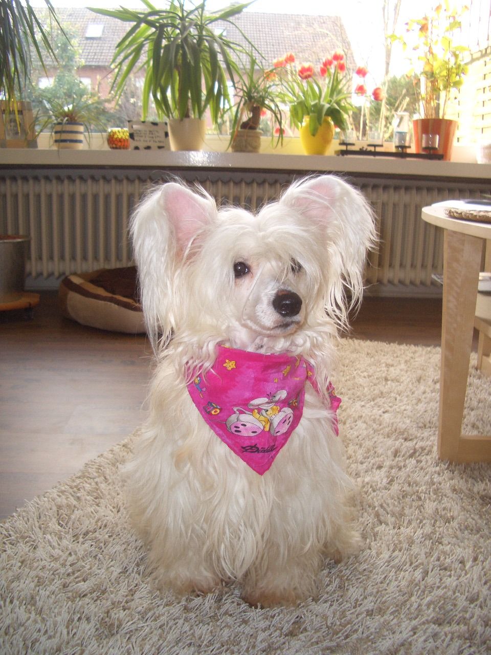 Ocean Eleven de GabriTho