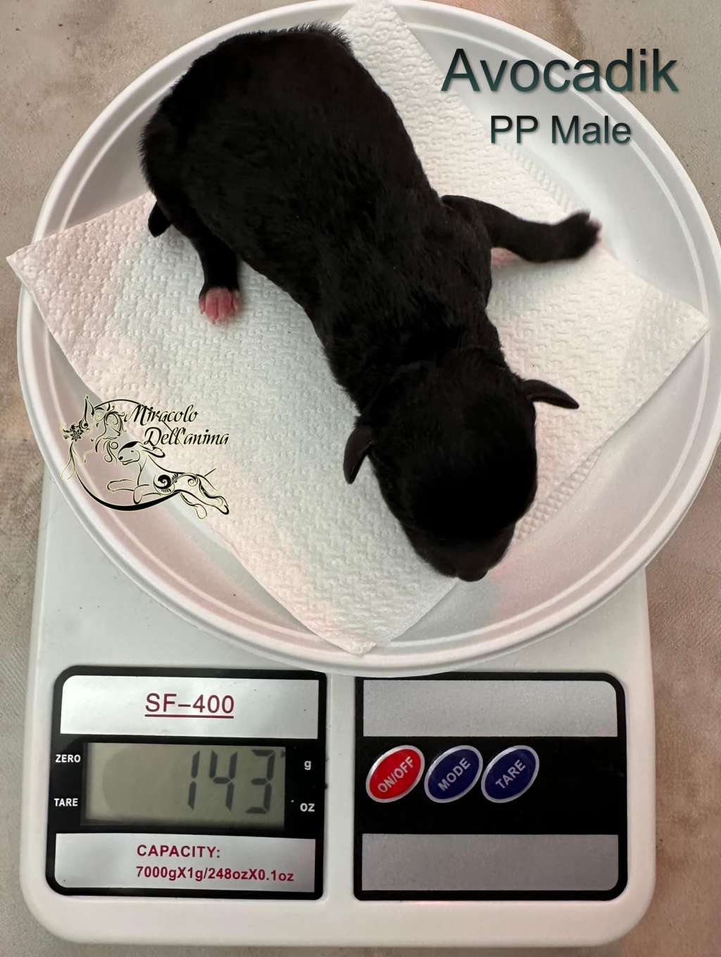 Avocadik Topaz Miracolo Dell'anima