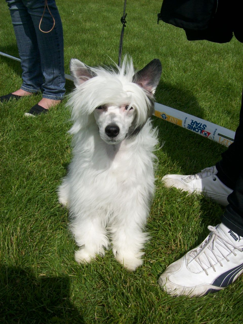 Smedbys Fisherman's Friend