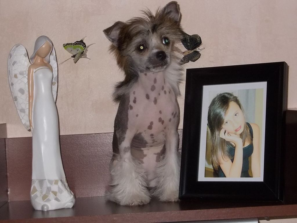 Picture