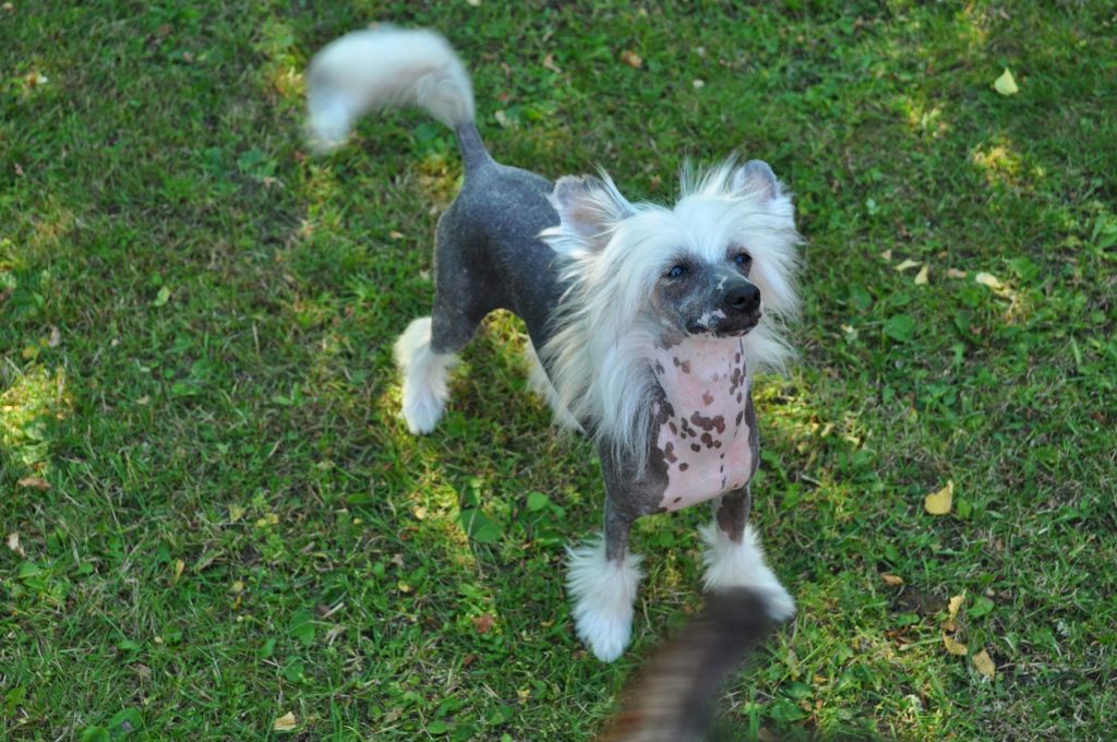 Poulot's Can't Judge Me