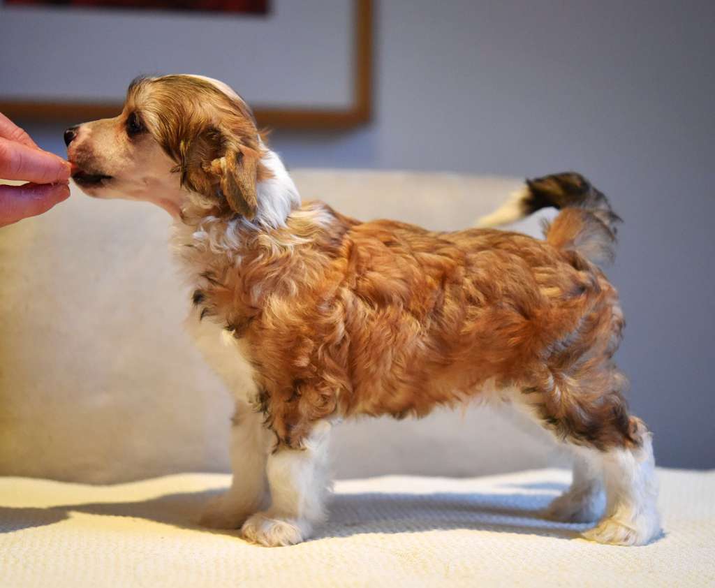 Jean Dark Just Like Me