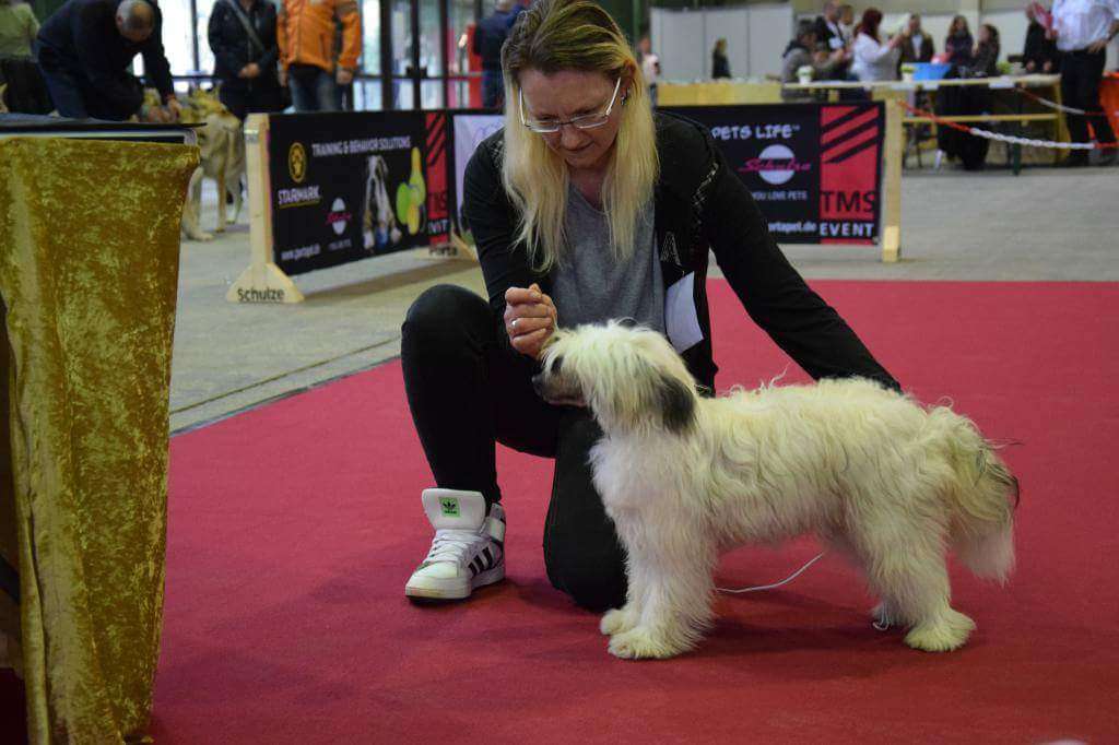 Bhooshan of Purple Rain