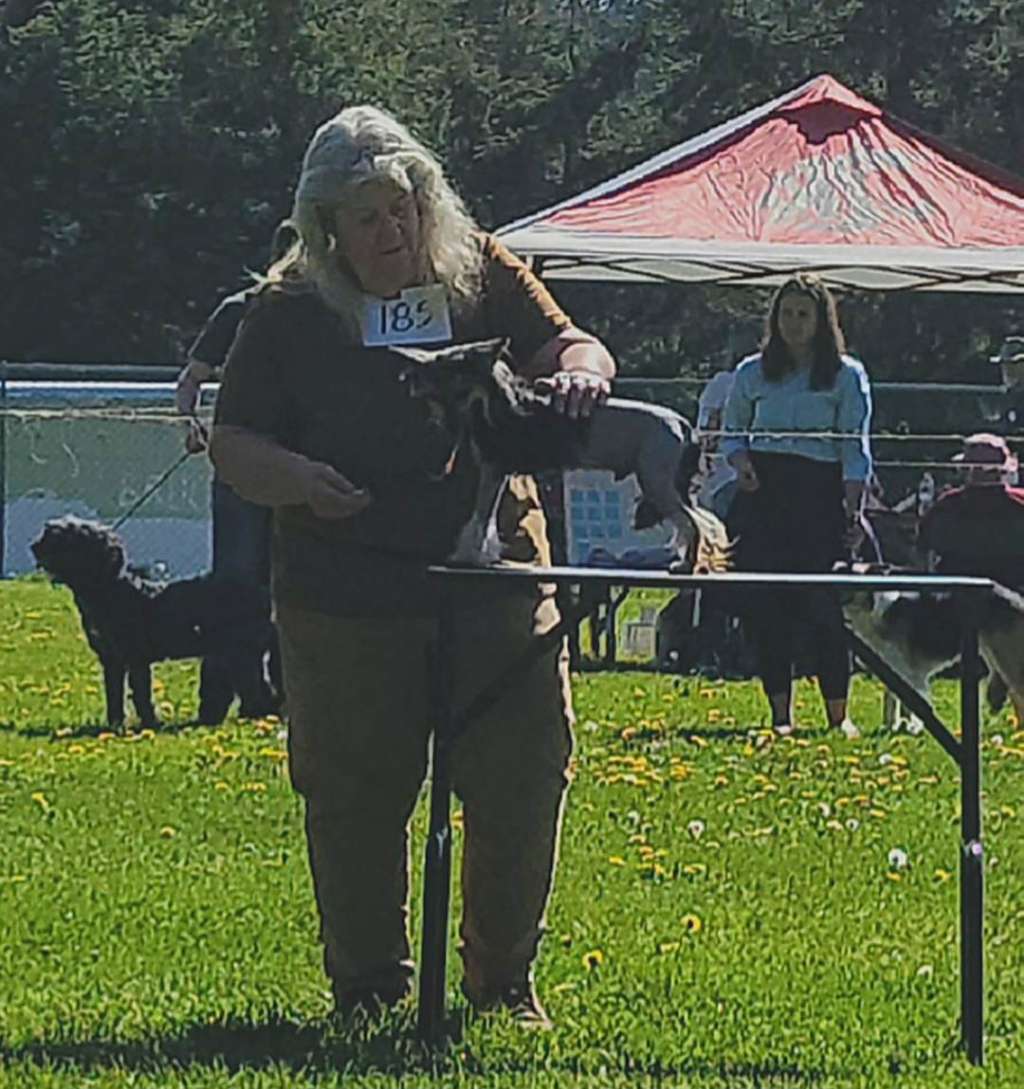 Castlecove In The Halls of Gryffindor