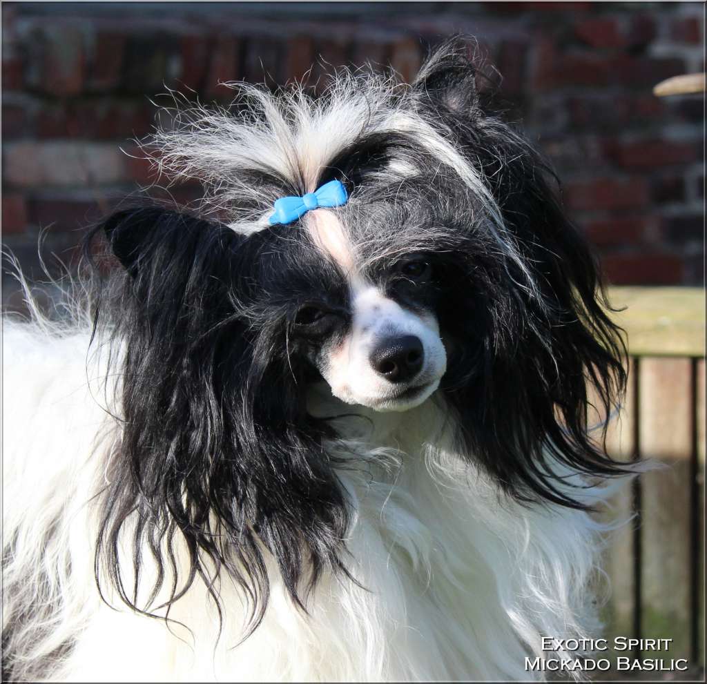 Picture