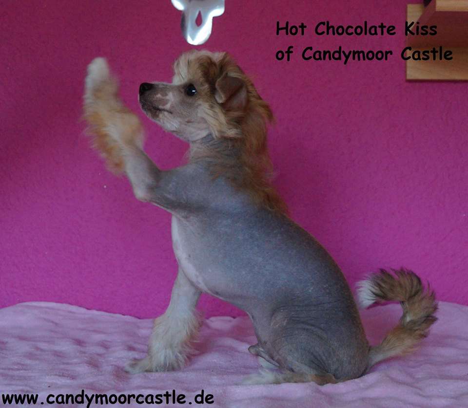 Hot Chocolate Kiss