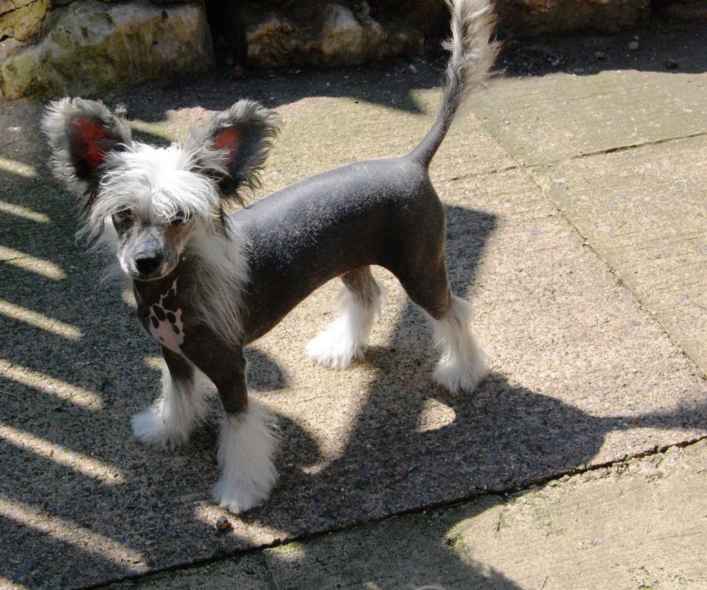 Zucci's got the Love