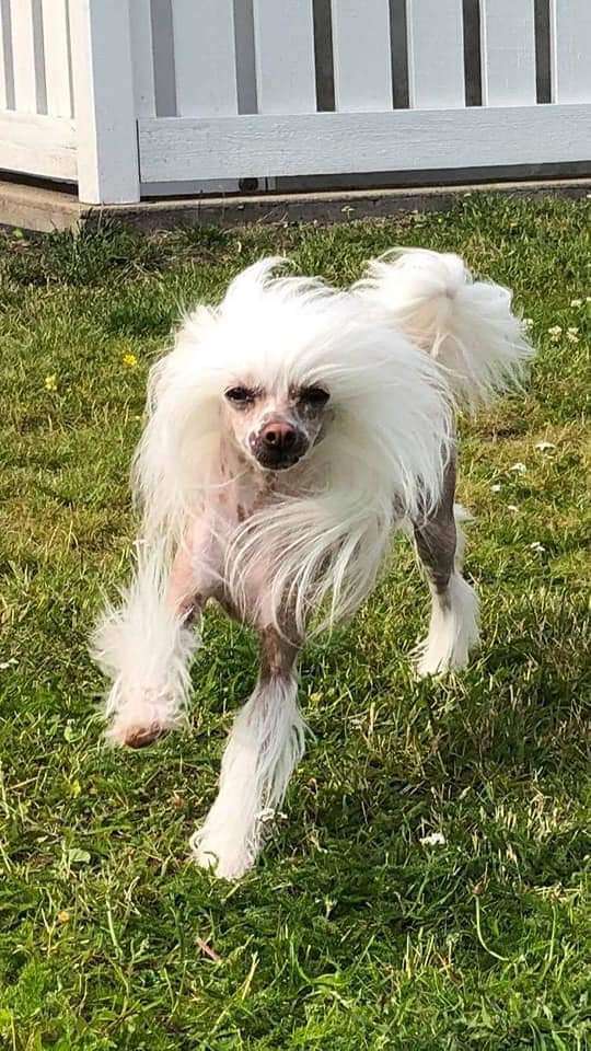 Epadalens Somebody To Love