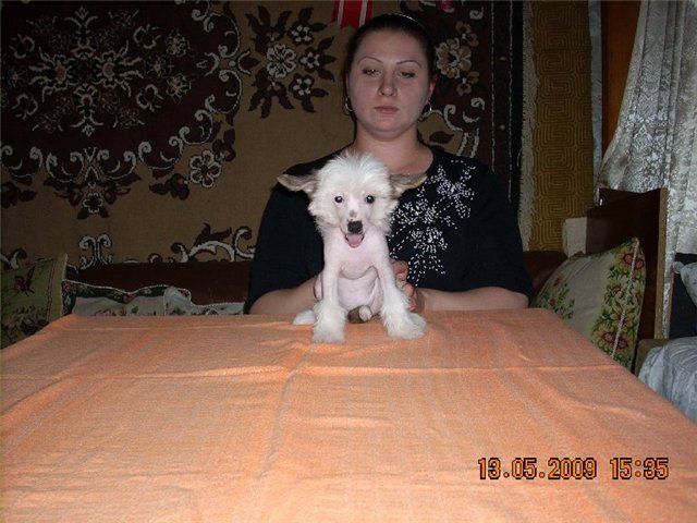 Picture