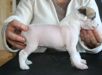 Kaa Won's Even Money