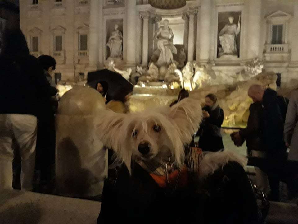 Berenic Pandora Hermenigild ( Eric)