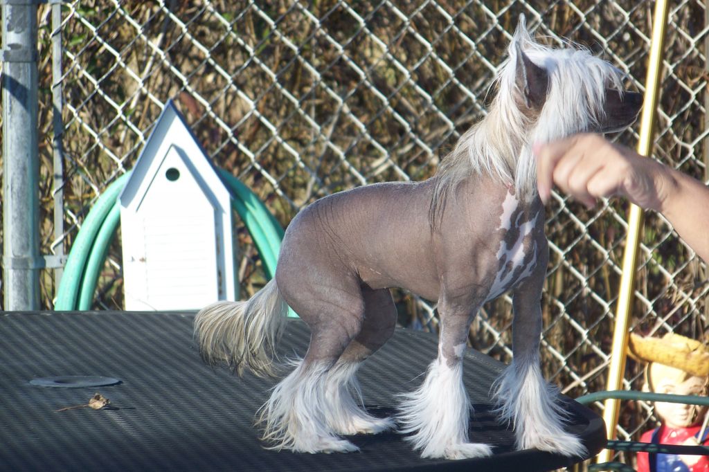 Windsongs Summer Breeze At Lakeside