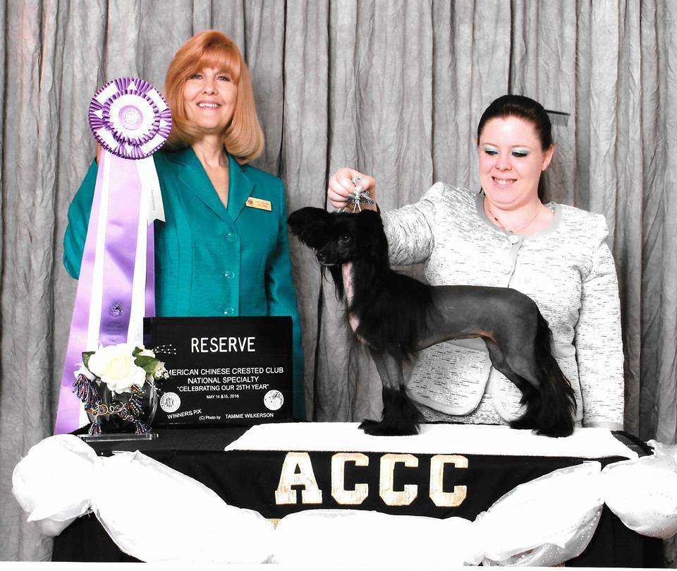 Anna Sky Kennel Vraiment Une Sirène