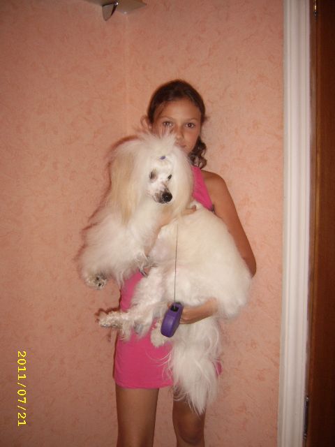 Picture