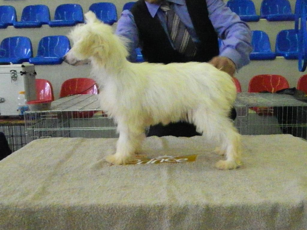 Charmed house princess Crystal