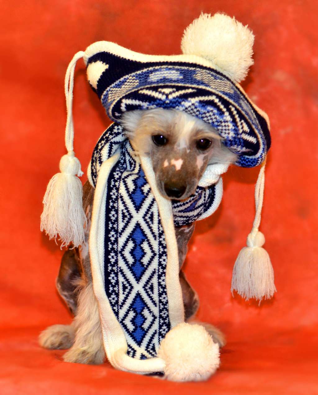 Legion Of Dream Lotus Magic Fire