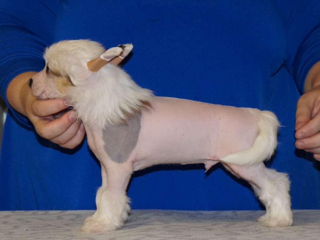 Sun Dan The One And Only