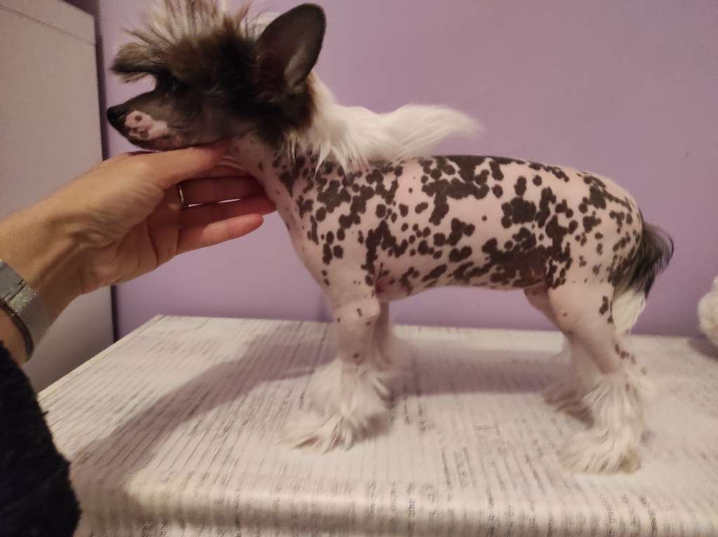 Zelendaya by my baby