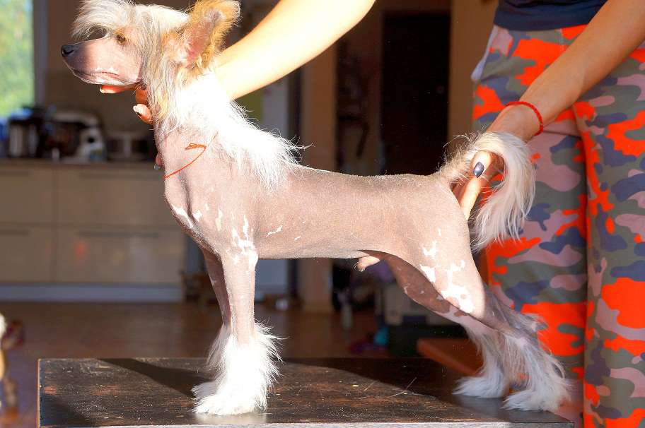 Grand Sunlife  Chapelle-Chambertin