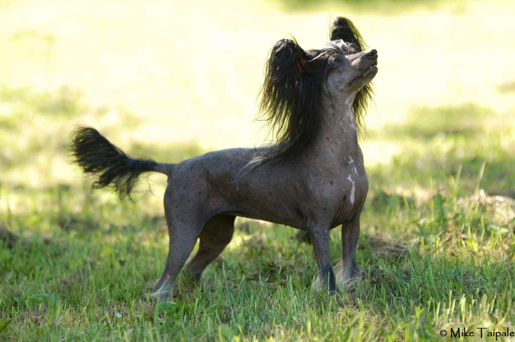 Maybell's Everlasting Tie