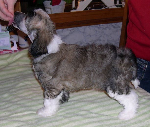 Belshaw's Zero Plus Feminine