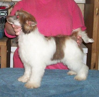 Mosaic's White Chocolate Mocha