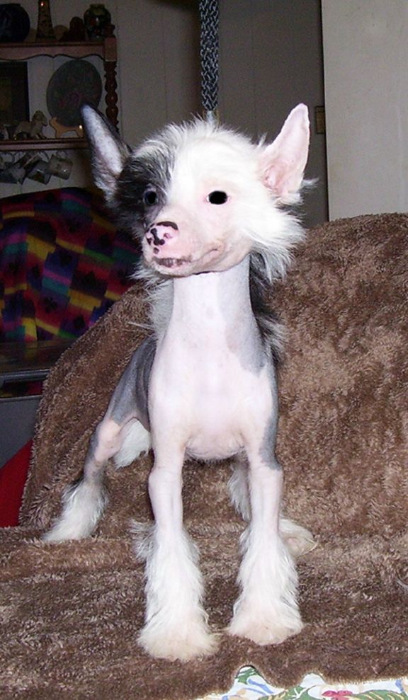 Picture