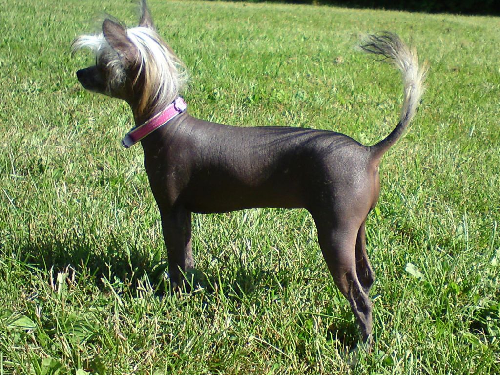 Love From Tecco's A Beautiful Cayti