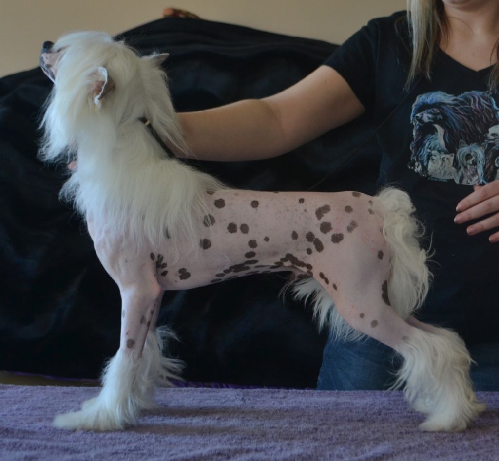 Daretobebare Power Of Love