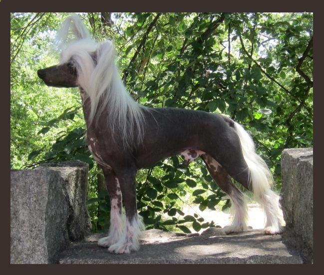 WhisperingLn' To Infinity N' Beyond