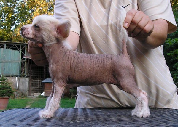 Ianika ze Zatopené chajdy