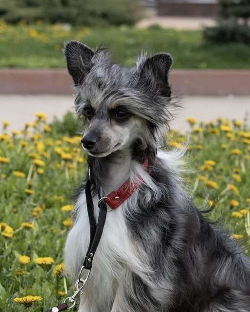 Marydance Heart and Soul