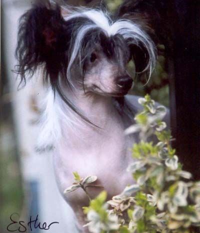 StripPoker's Super Model