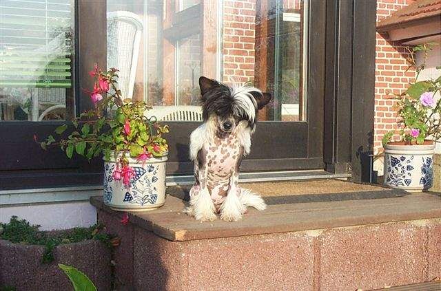 Blue Sky Fantasy Island