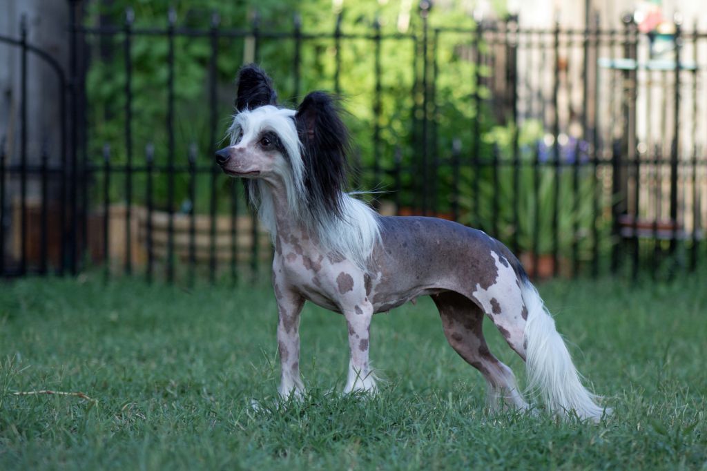 Jewels Got Pink Panties at Castle Rock