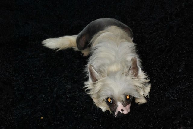 Ksolo Club Dolce de Luna