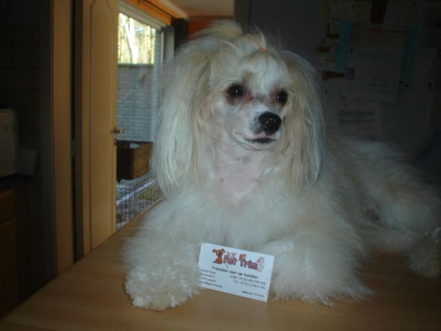 Equinox Little Champs