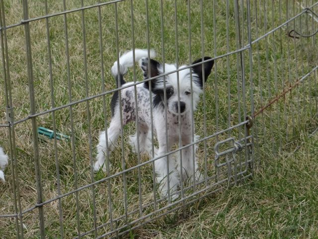 Lesmars What Goes Around Comes Around