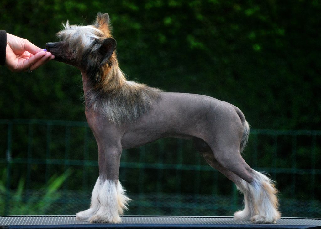 Picture