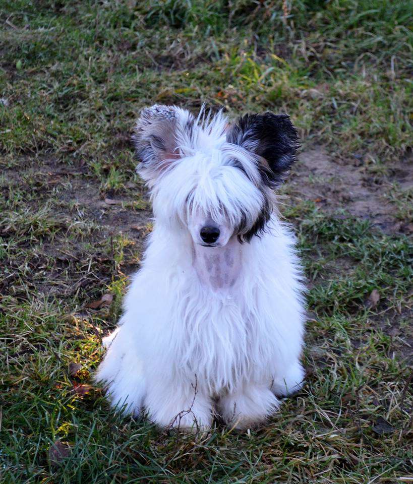 Etno Spirit  Something Special