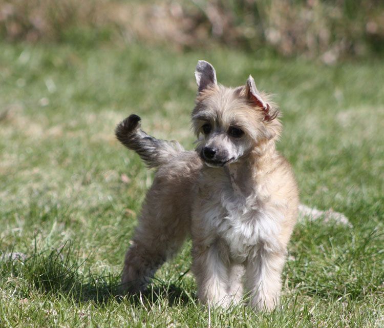 Spartace's Dropped On The Stair