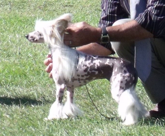 Tereiroa Kakaa Pakitara