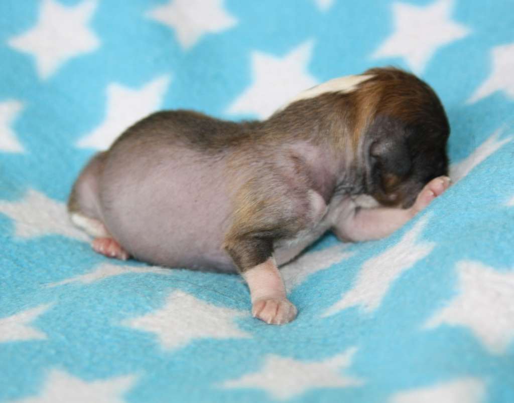 Remember Me of Angel's Legacy