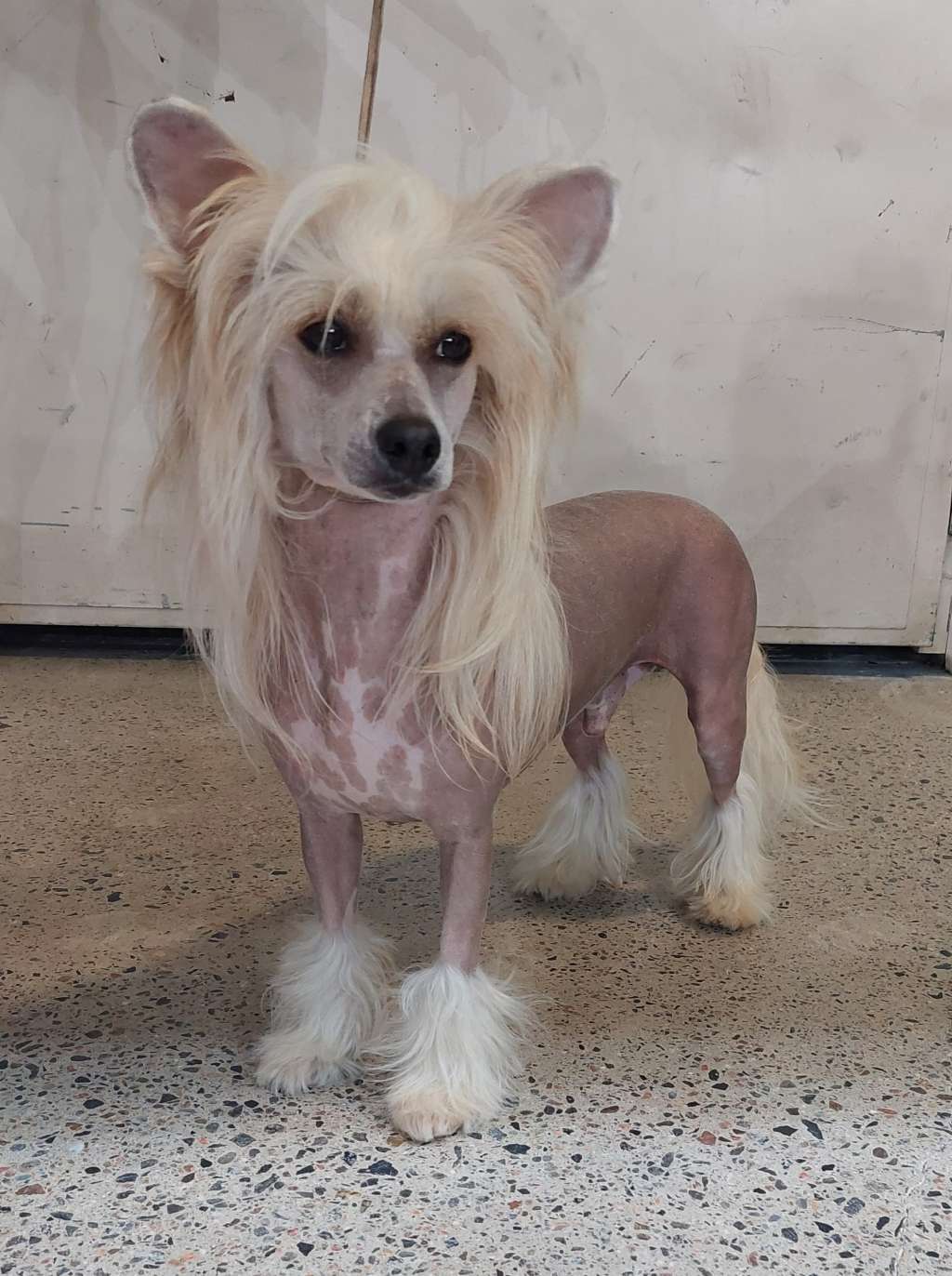 Concrete Clouds Extra Mile