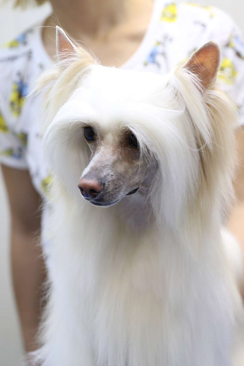 Incanto Del Mondo Onyx