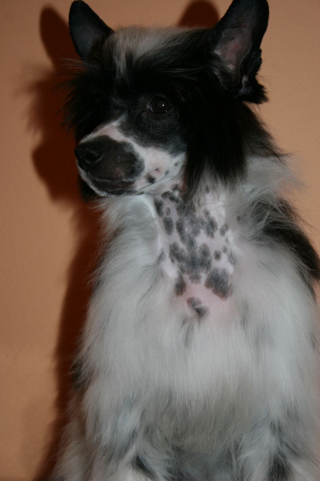 Yara, A Perfect Time de Fageiro