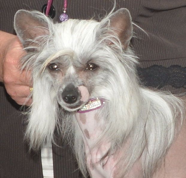 Fashion Doll by Pixietail