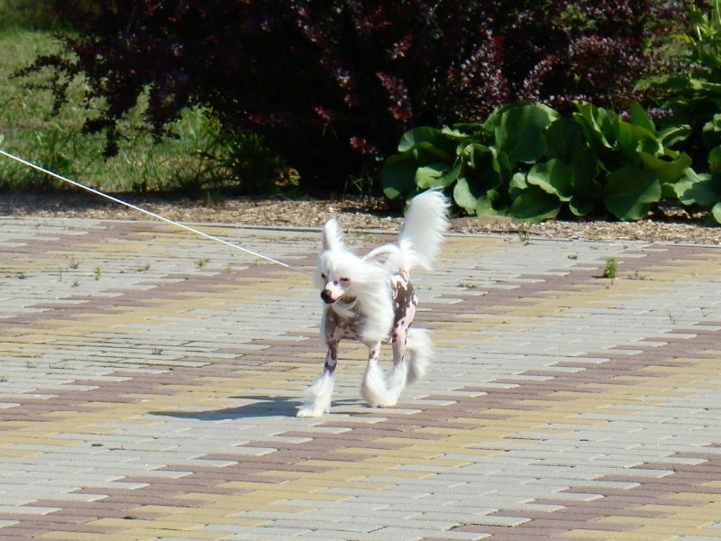 Picture